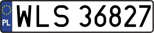 WLS36827
