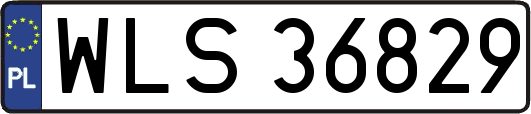WLS36829