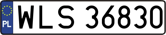 WLS36830