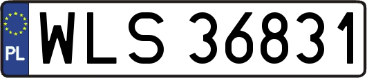 WLS36831