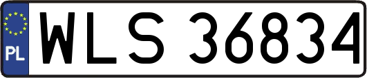 WLS36834