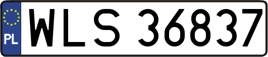 WLS36837