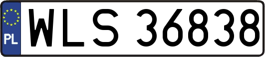WLS36838
