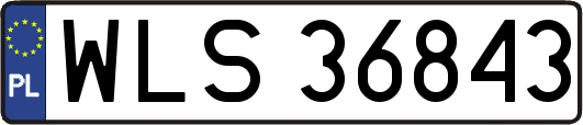 WLS36843