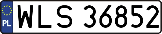 WLS36852