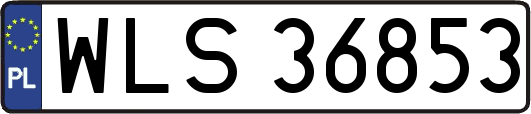WLS36853