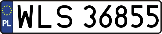 WLS36855