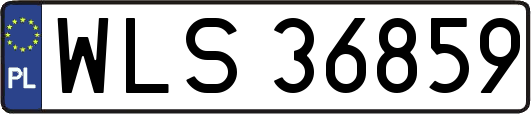 WLS36859