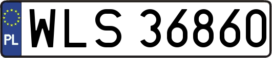 WLS36860