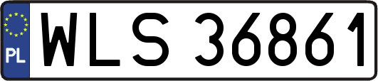 WLS36861