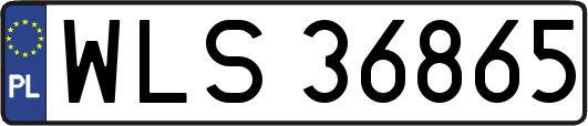 WLS36865