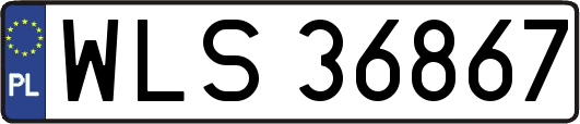 WLS36867