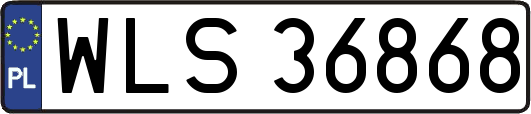 WLS36868