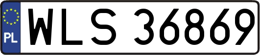 WLS36869