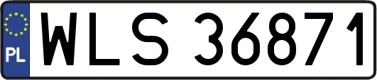 WLS36871