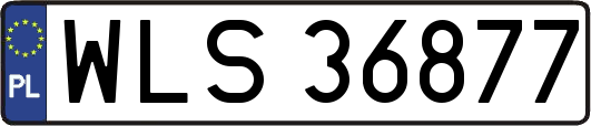 WLS36877