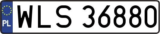 WLS36880
