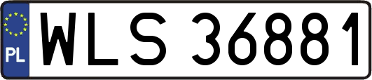 WLS36881