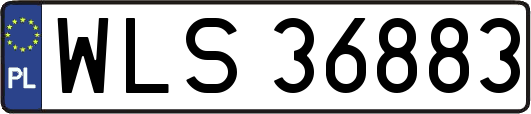 WLS36883