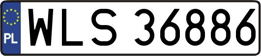 WLS36886