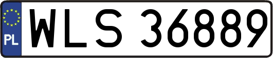 WLS36889