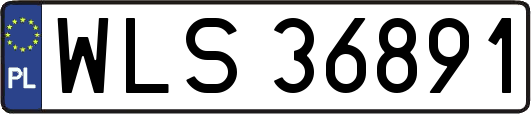 WLS36891