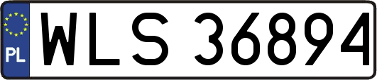 WLS36894