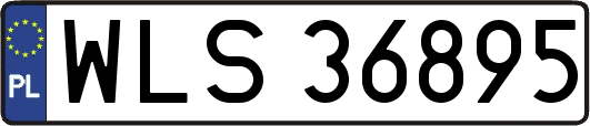 WLS36895
