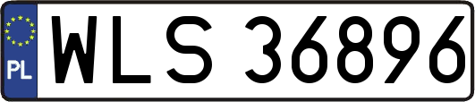 WLS36896