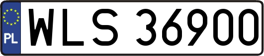WLS36900