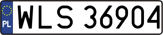 WLS36904