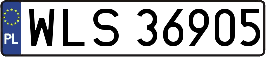 WLS36905