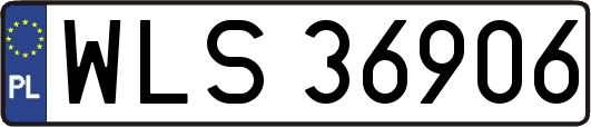WLS36906