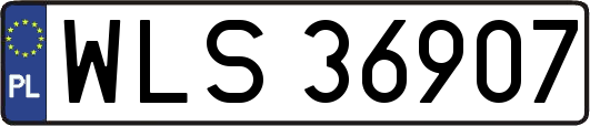 WLS36907
