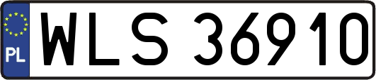 WLS36910