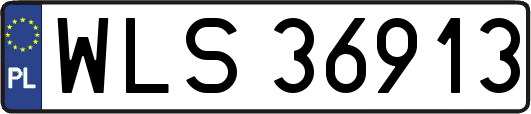 WLS36913