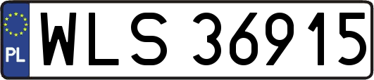 WLS36915