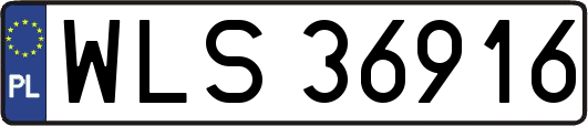 WLS36916