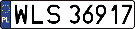WLS36917
