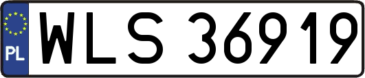 WLS36919
