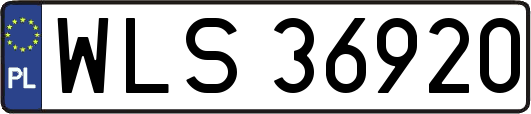 WLS36920