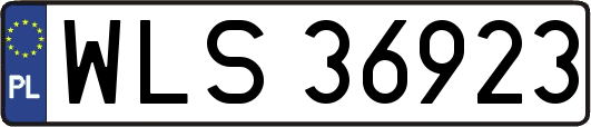 WLS36923