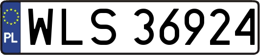 WLS36924