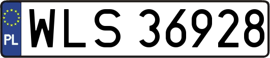 WLS36928