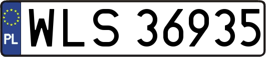 WLS36935