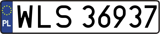 WLS36937