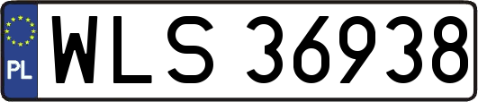 WLS36938