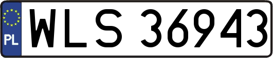WLS36943