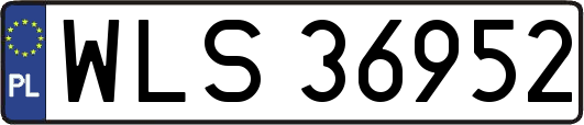 WLS36952