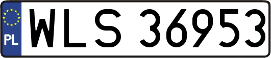 WLS36953